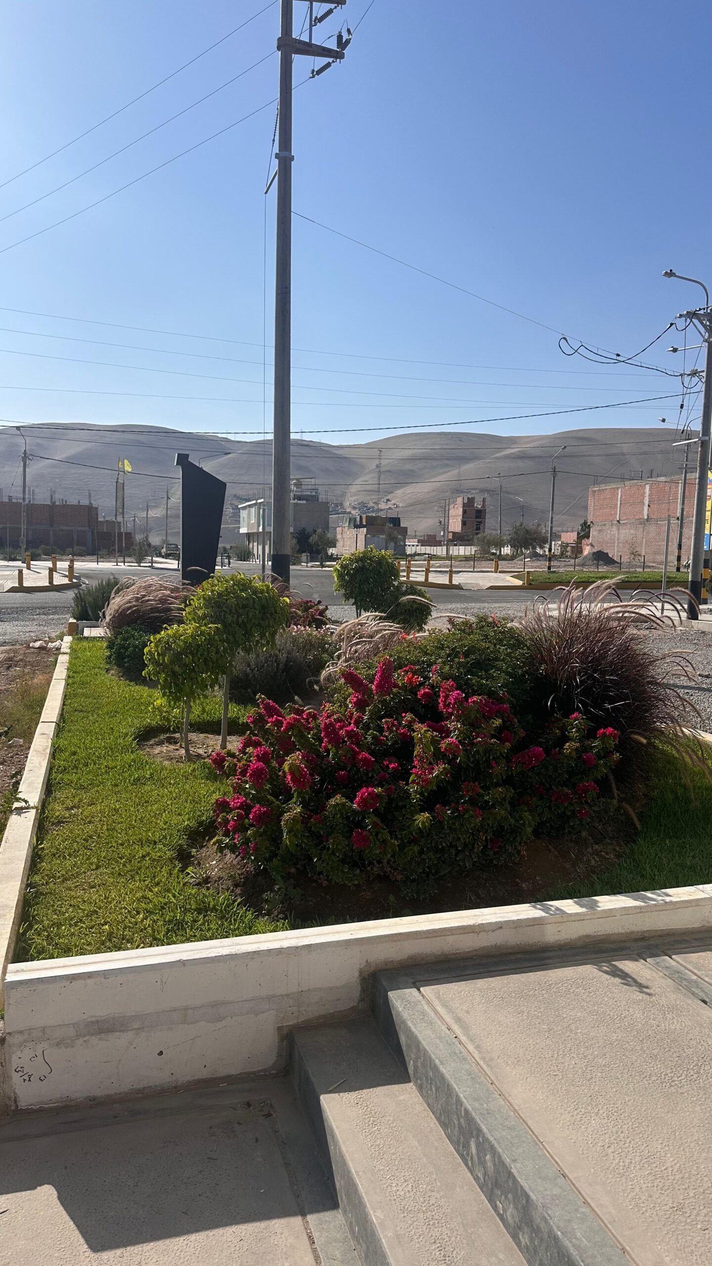 WhatsApp Image 2025-08-14 at 6.12.20 PM (1)