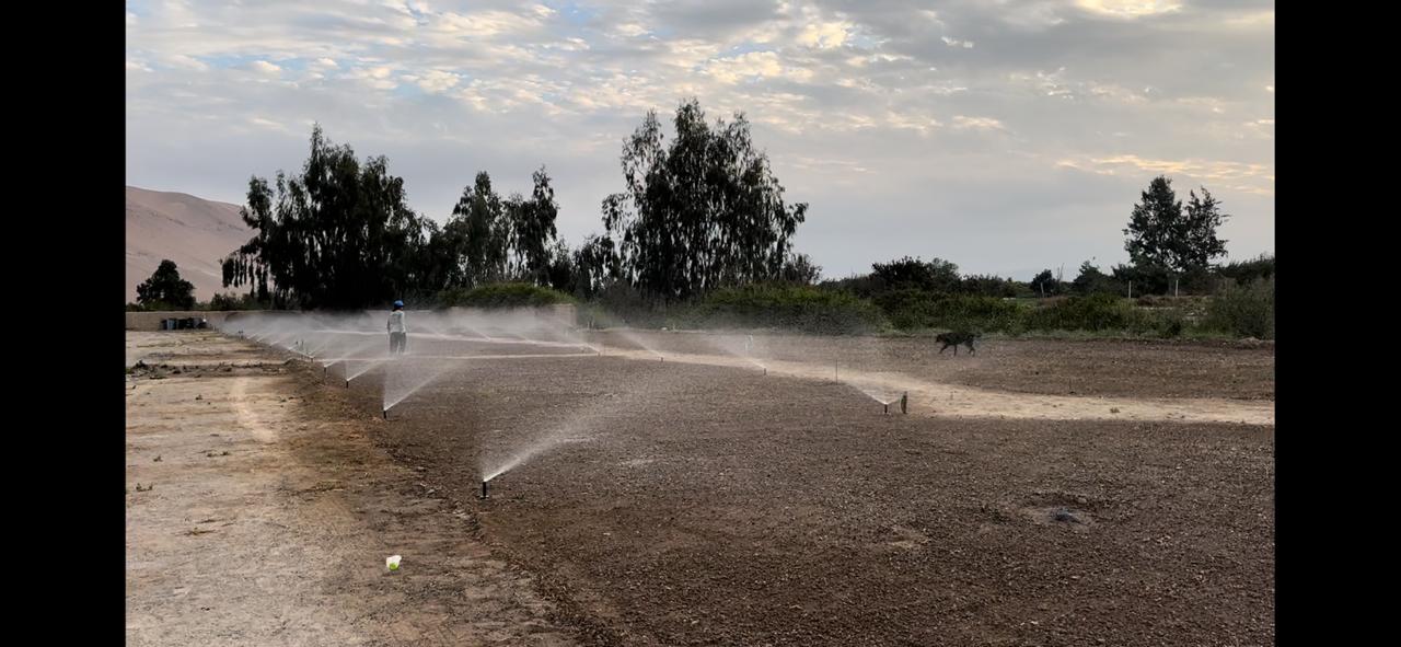 WhatsApp Image 2025-11-27 at 10.38.40 AM