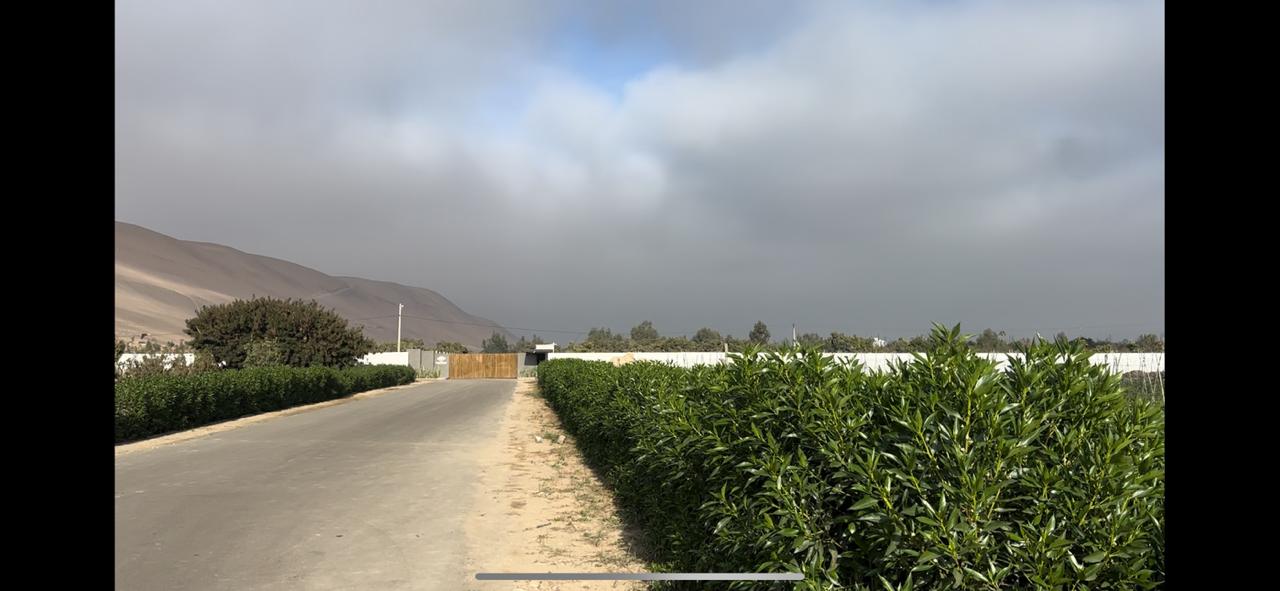 WhatsApp Image 2025-11-27 at 10.38.42 AM (1)