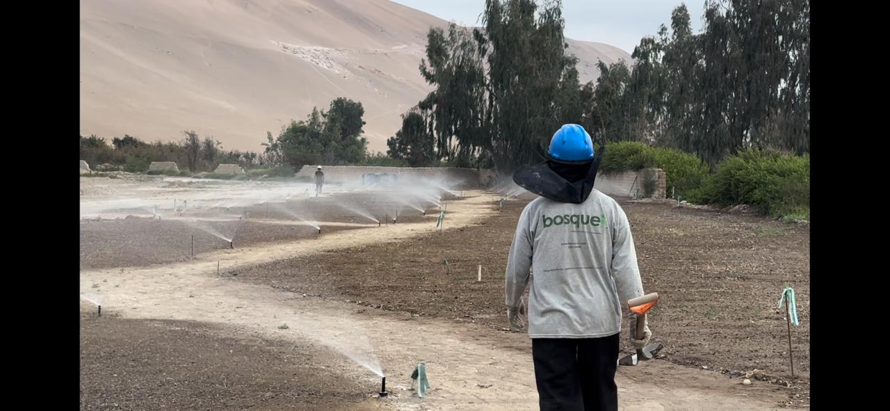 WhatsApp Image 2025-11-27 at 10.38.42 AM