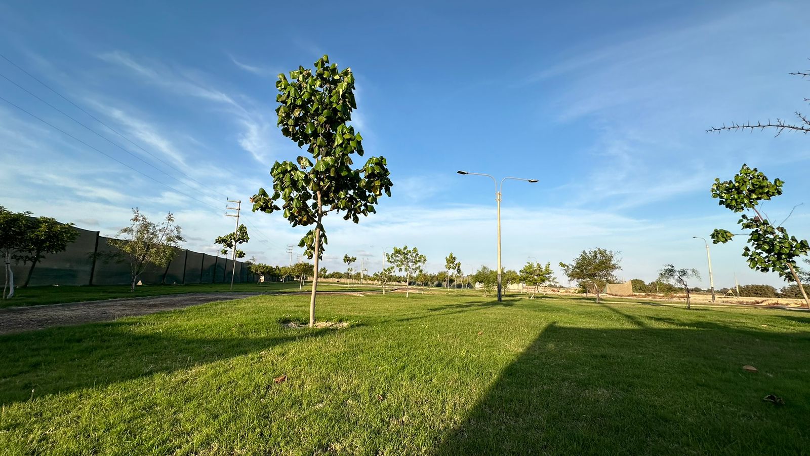 WhatsApp Image 2025-11-27 at 7.44.53 PM