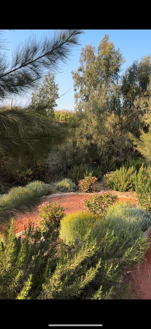 WhatsApp Image 2025-11-27 at 9.41.53 AM (1)