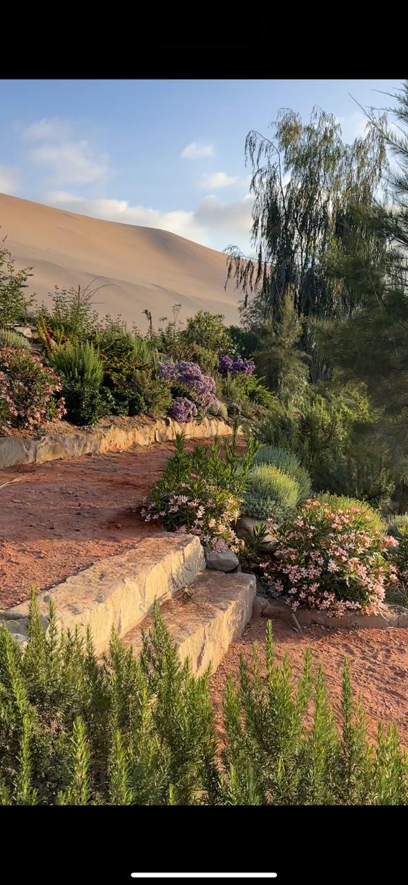 WhatsApp Image 2025-11-27 at 9.41.53 AM