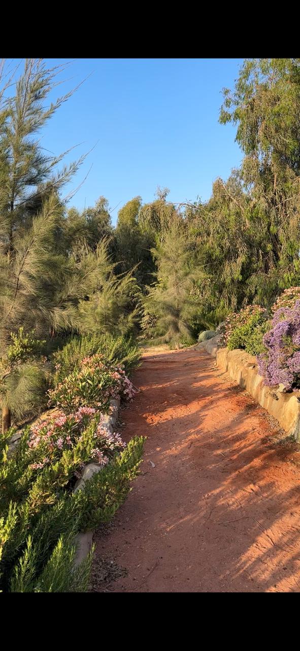 WhatsApp Image 2025-11-27 at 9.58.05 AM (1)