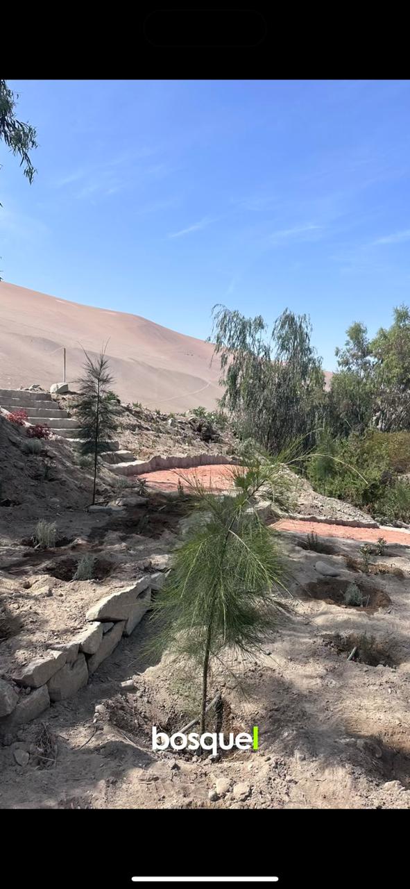 WhatsApp Image 2025-11-27 at 9.58.05 AM