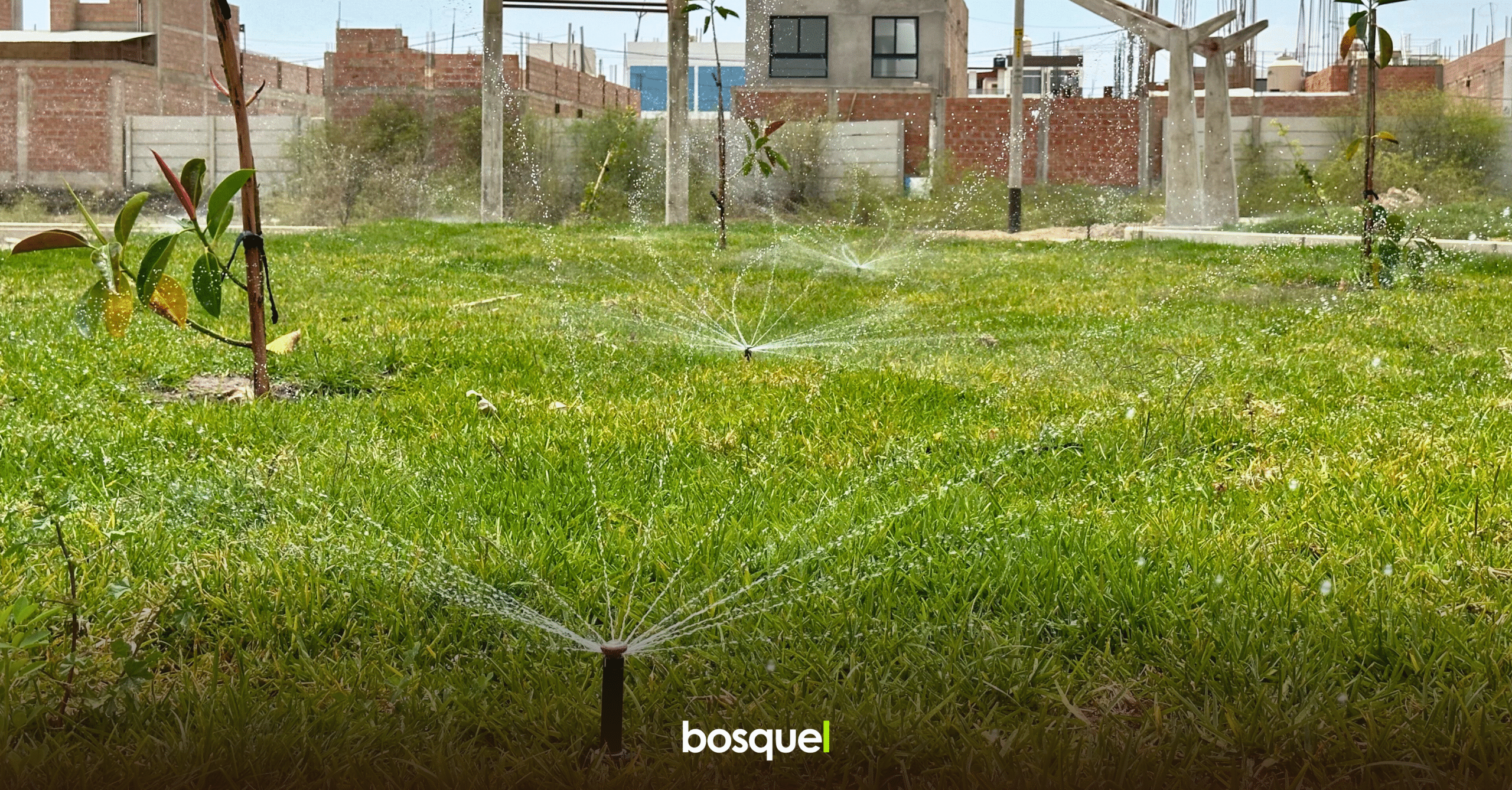 Diseño sin título (34)